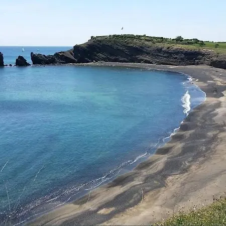 Villa Climatisée Avec Jardin, Bbq, Piscine Et Parking *